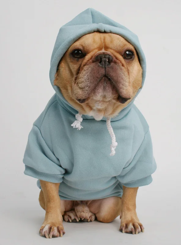 The Jasper Dog Hoodie